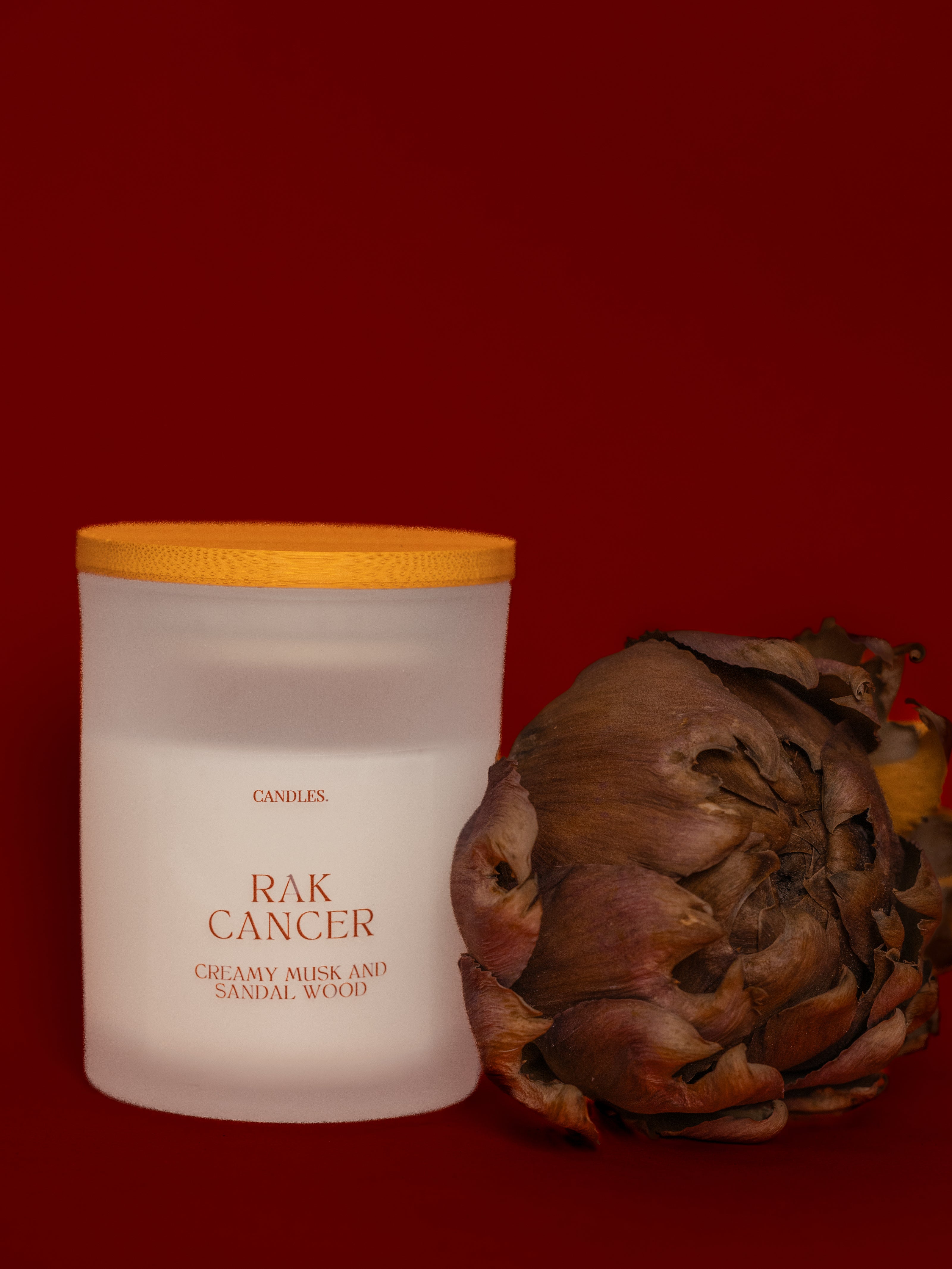 Rak - CANCER