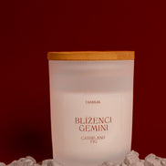 Blíženci - GEMINI