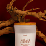 Vodnář - AQUARIUS