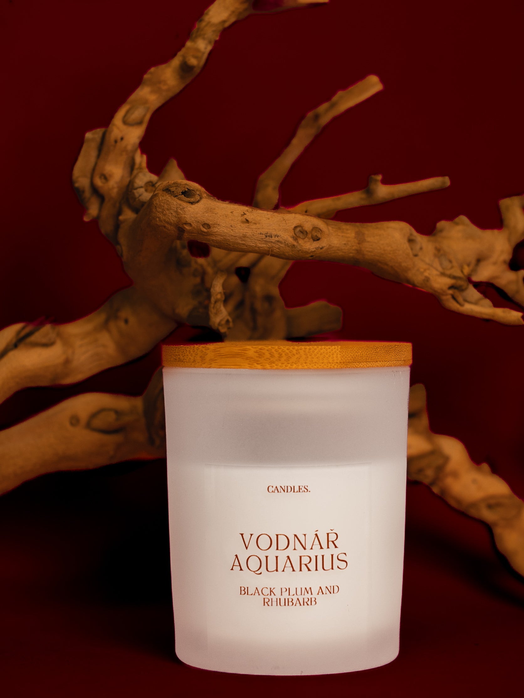 Vodnář - AQUARIUS