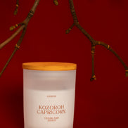 Kozoroh - CAPRICORN