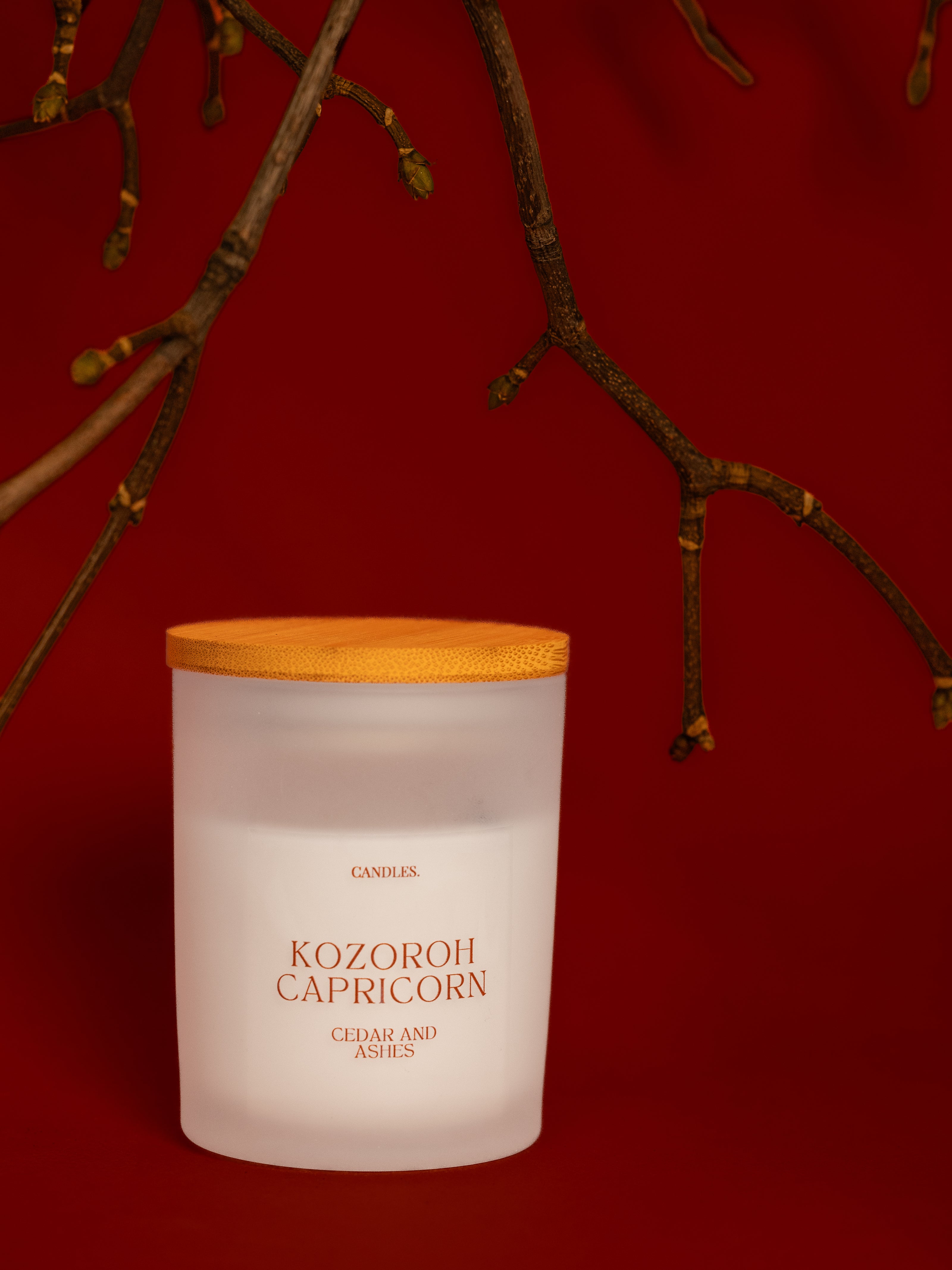 Kozoroh - CAPRICORN